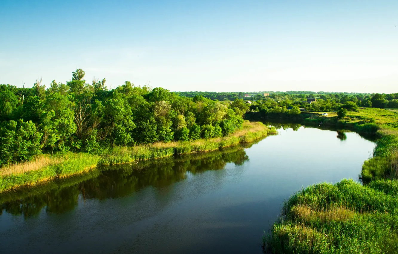 Photo wallpaper trees, river, river, Samara, mmd