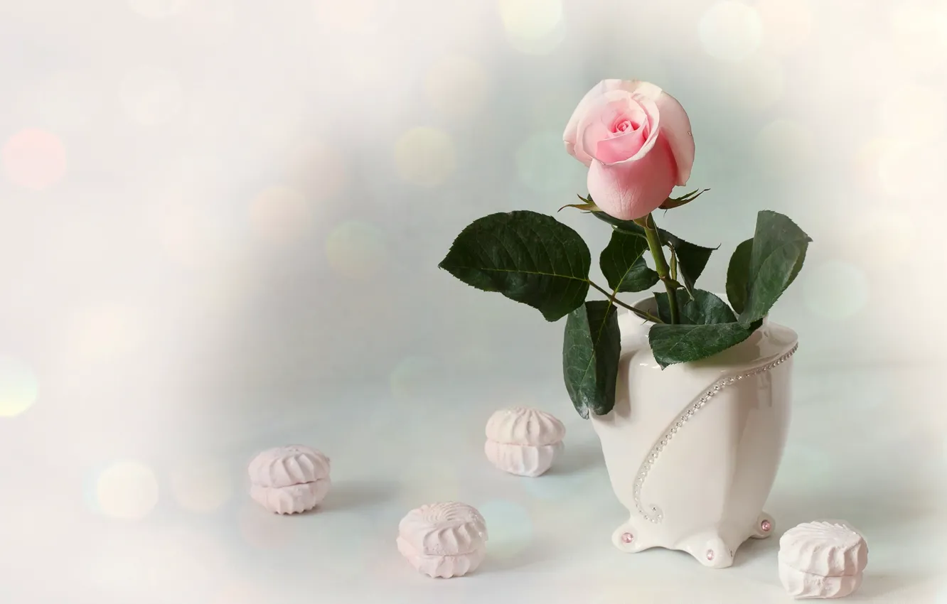 Photo wallpaper pink, rose, Bud, vase, marshmallows