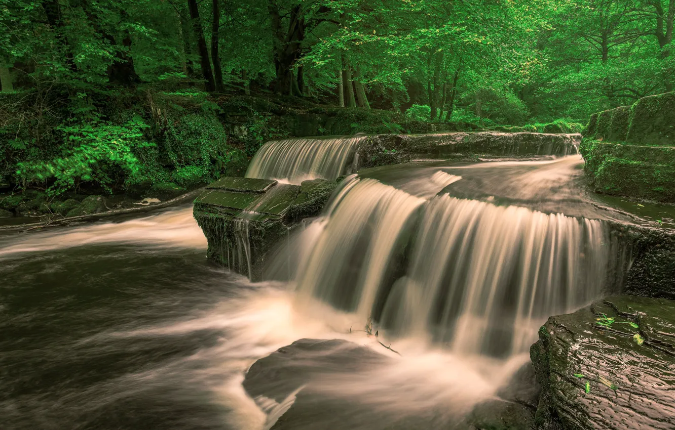 Photo wallpaper forest, stones, waterfall