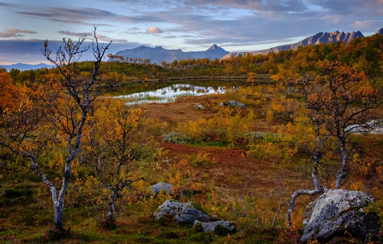 Photo wallpaper autumn, trees, mountains, lake, Norway, Norway, Troms, Troms