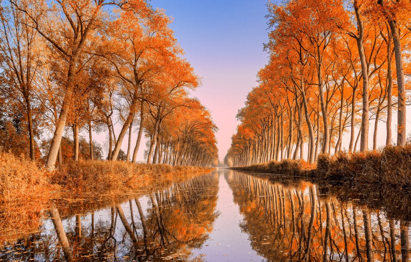 Photo wallpaper autumn, Belgium, Damme Canal