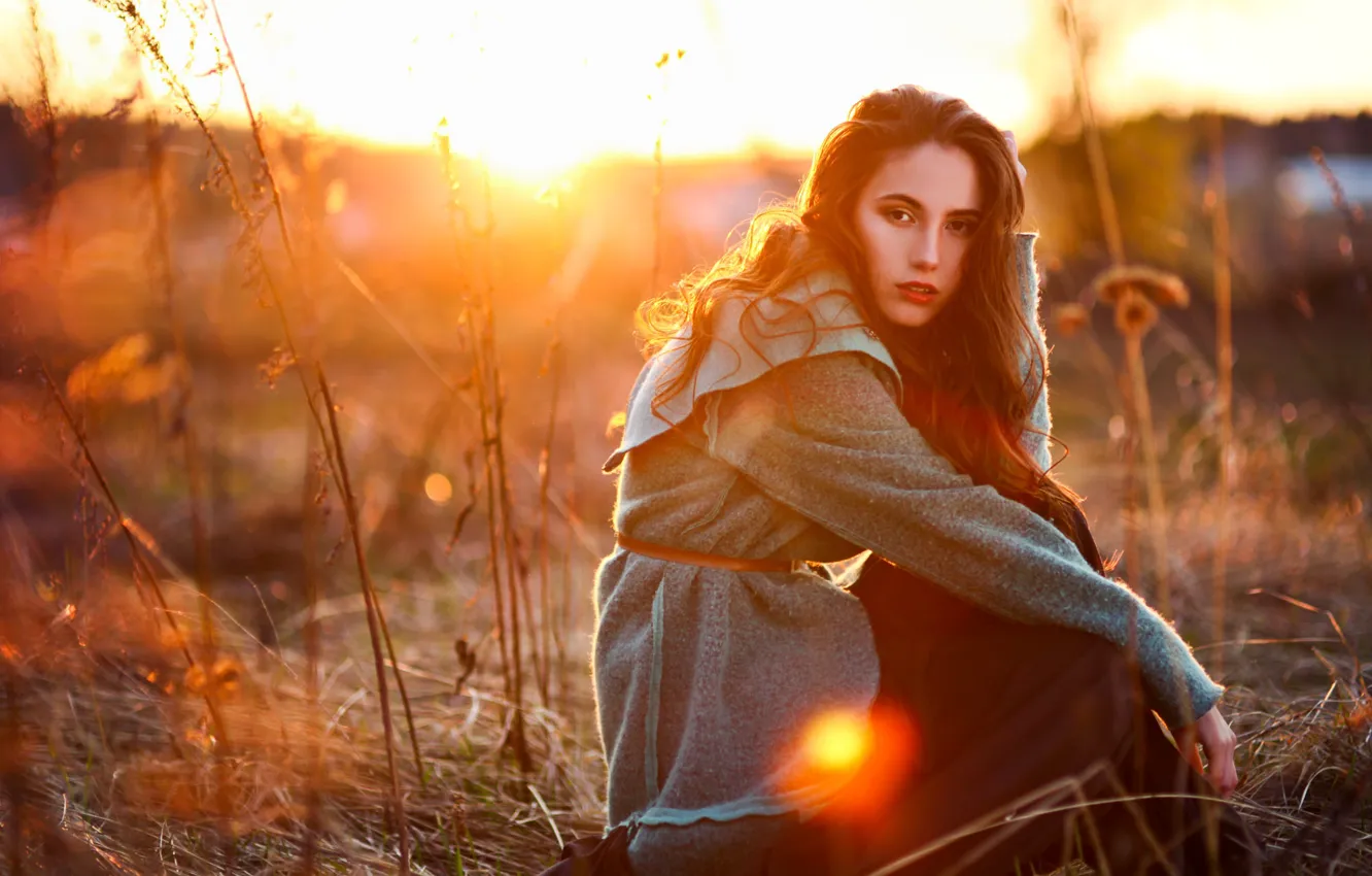 Photo wallpaper Girl, at sunset, sitting in a field