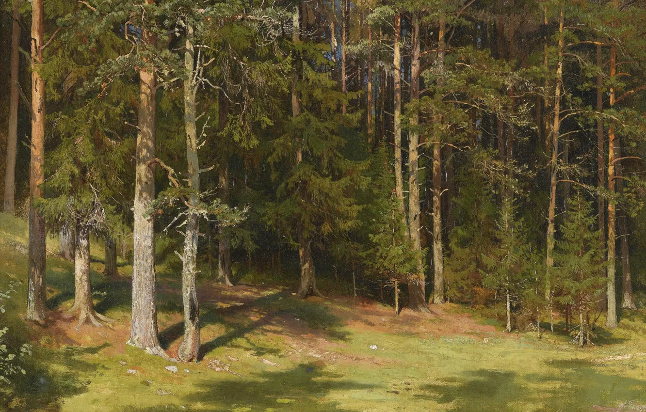 Photo wallpaper forest, trees, landscape, nature, picture, Ivan Ivanovich Shishkin, Cleaning