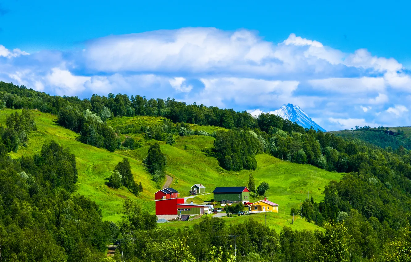 Photo wallpaper the sky, grass, clouds, trees, mountains, home, slope, Norway
