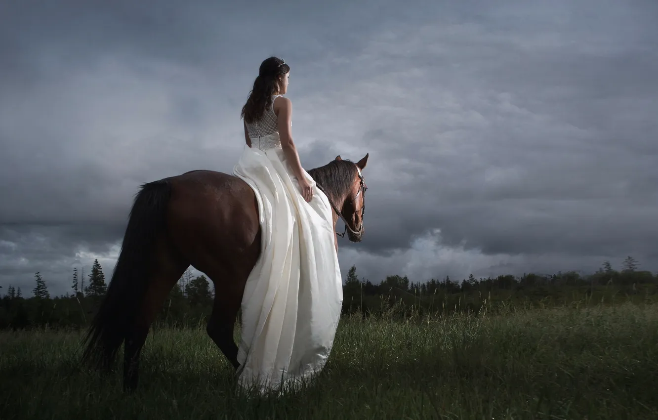 Photo wallpaper girl, horse, the evening