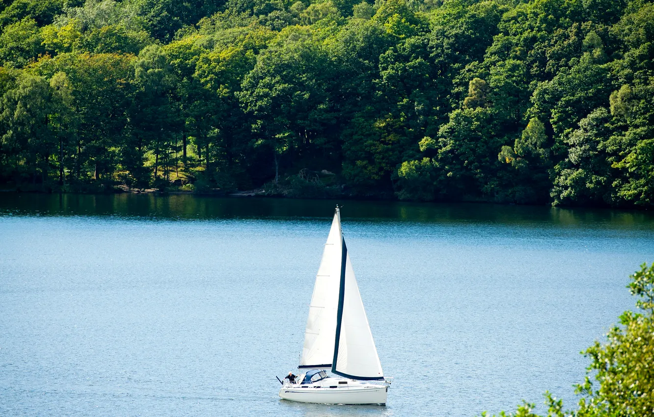 Photo wallpaper forest, summer, trees, river, boat, yacht, sail