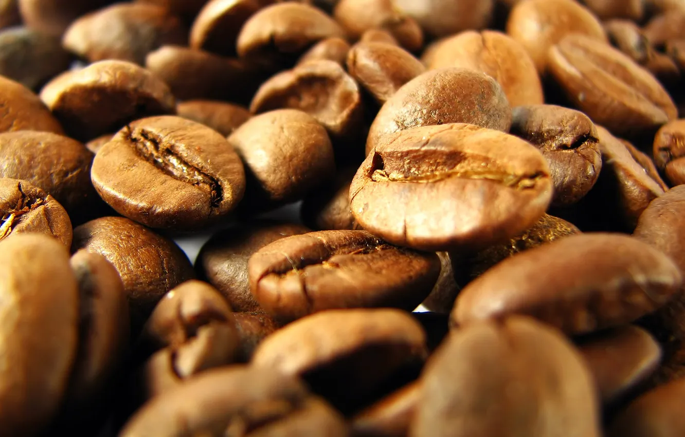 Photo wallpaper macro, coffee, grain, macro, coffee