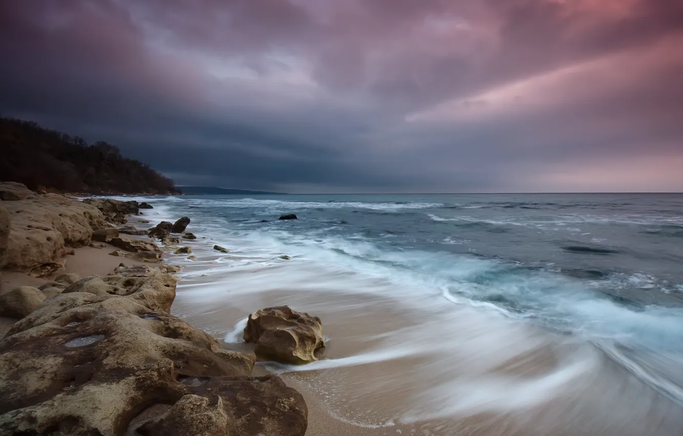 Photo wallpaper sea, beach, trees, stones, shore