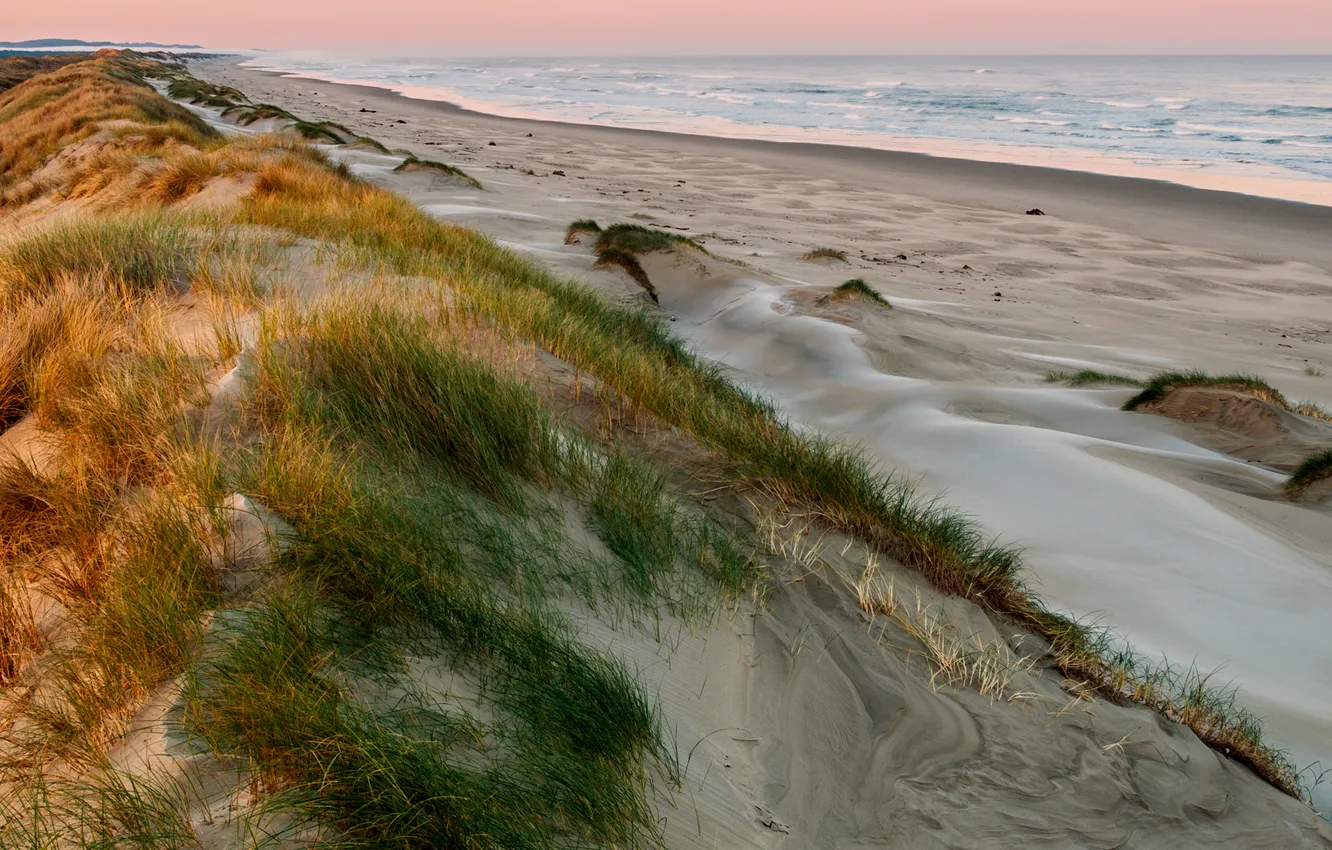 Photo wallpaper sand, sea, the sky, grass, sunset
