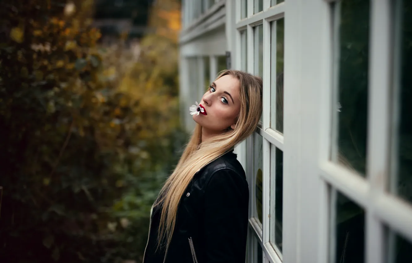 Photo wallpaper flowers, makeup, sponge, Jesse Duke, Isabel