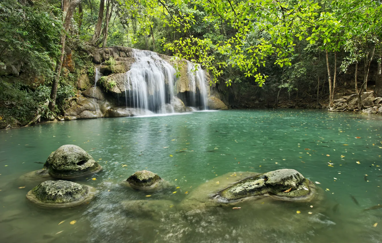 Photo wallpaper forest, landscape, river, rocks, waterfall, summer, forest, tropical