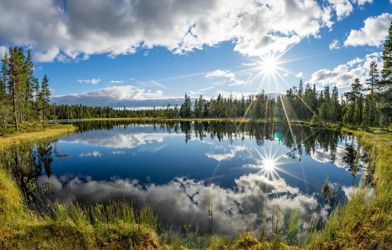 Photo wallpaper landscape, trees, the sun, nature, reflection, lake