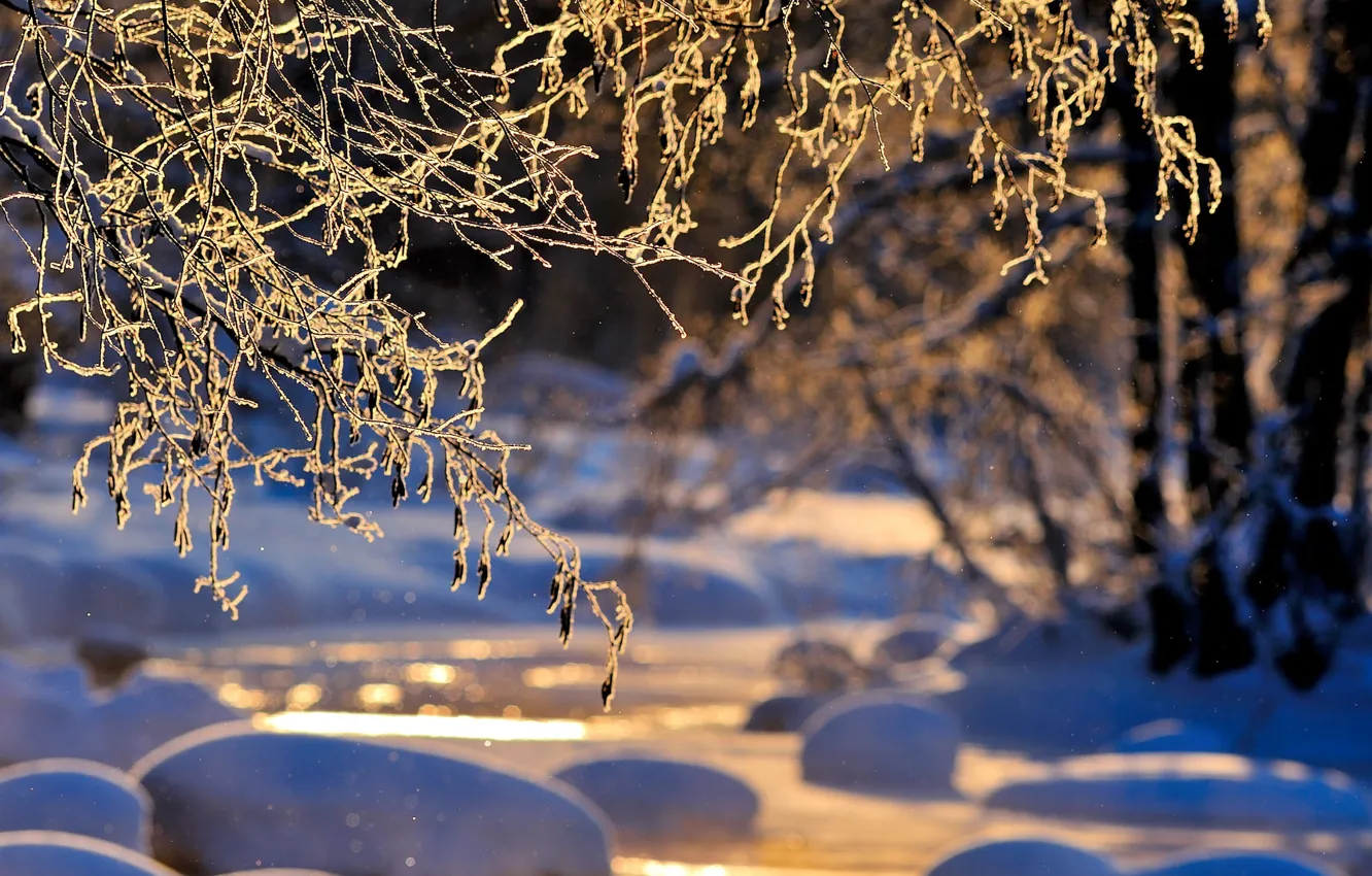 Photo wallpaper winter, trees, branches, nature, river, the snow, bokeh