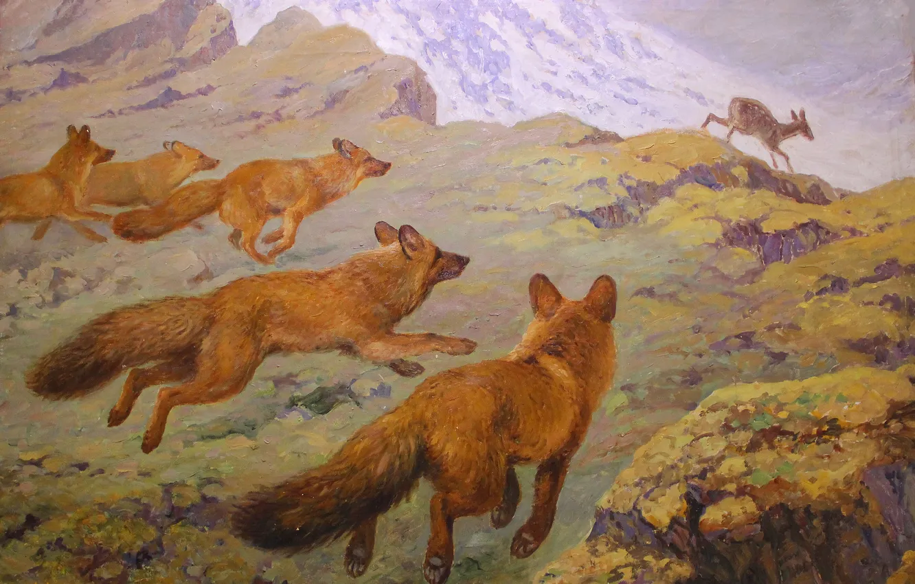 Photo wallpaper Mountains, Picture, Wolves, Hunting, Alexey Komarov, Alexey Komarov, Russian and Soviet painter, Red wolves and …