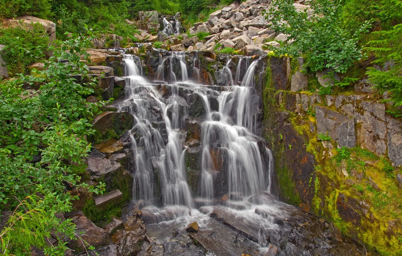 Photo wallpaper forest, river, stones, rocks, waterfall