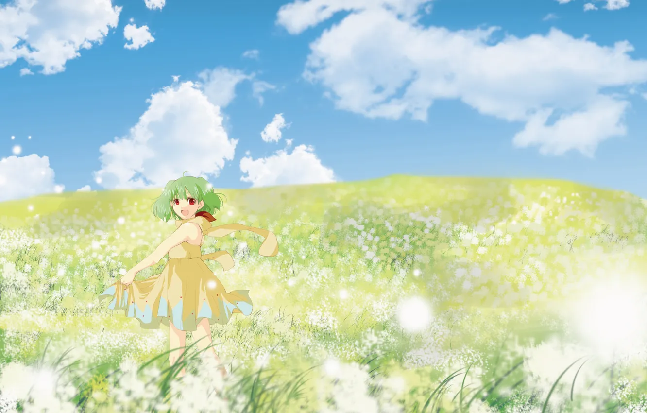 Photo wallpaper summer, flowers, anime, meadow, girl, Macross frontier