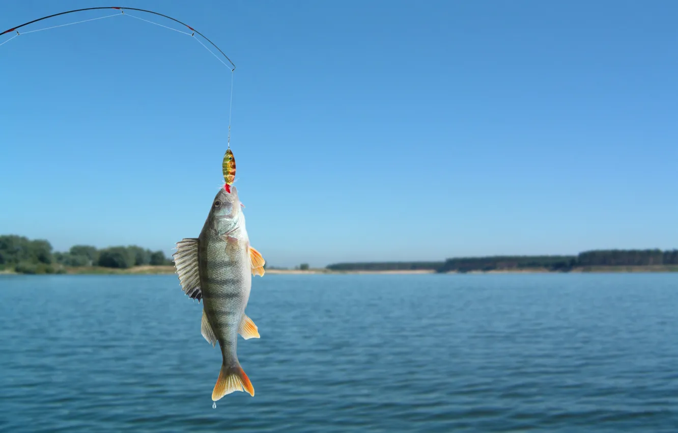 Photo wallpaper water, fish, fishing