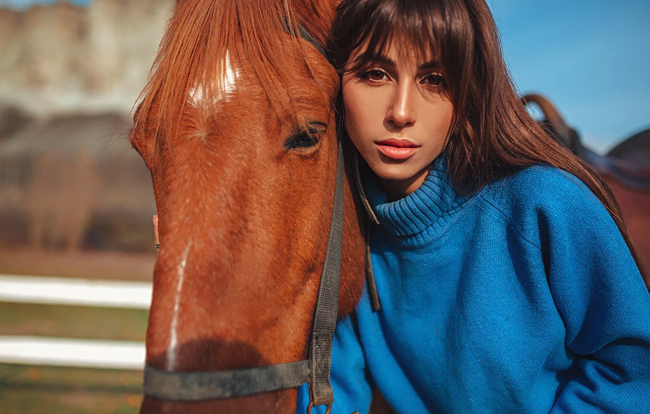 Photo wallpaper look, girl, horse, horse, head, brunette, sweater, Gregory Levin
