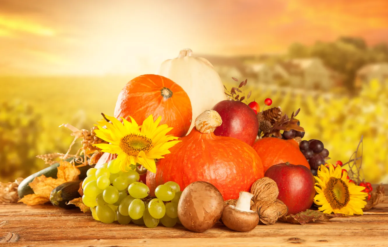Photo wallpaper mushrooms, Apple, sunflower, grapes, pumpkin, fruit, nuts, vegetables