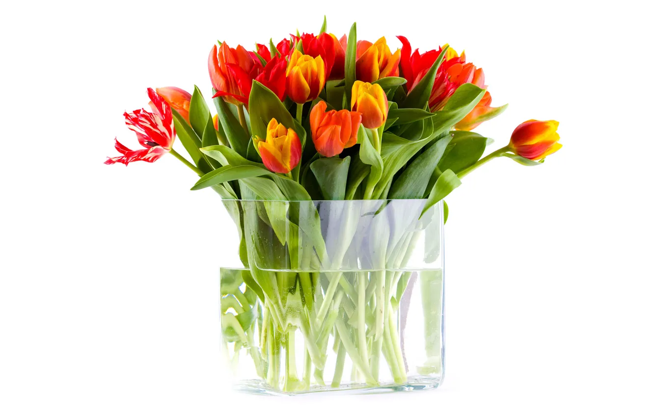 Photo wallpaper water, flowers, bouquet, tulips, vase
