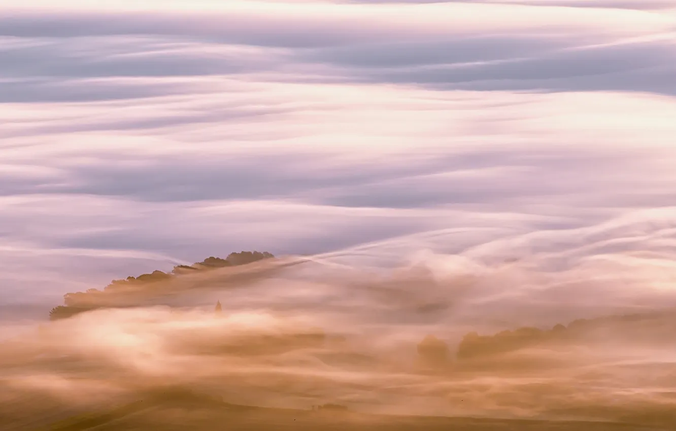 Photo wallpaper trees, structure, shrouded in mist