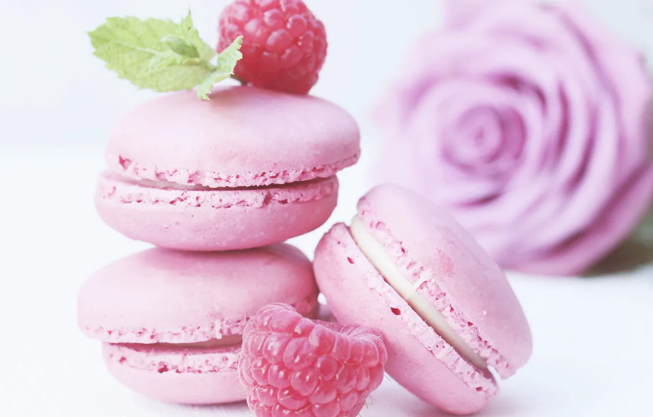 Photo wallpaper raspberry, rose, cookies, mint, cream, dessert, macarons, French pastries