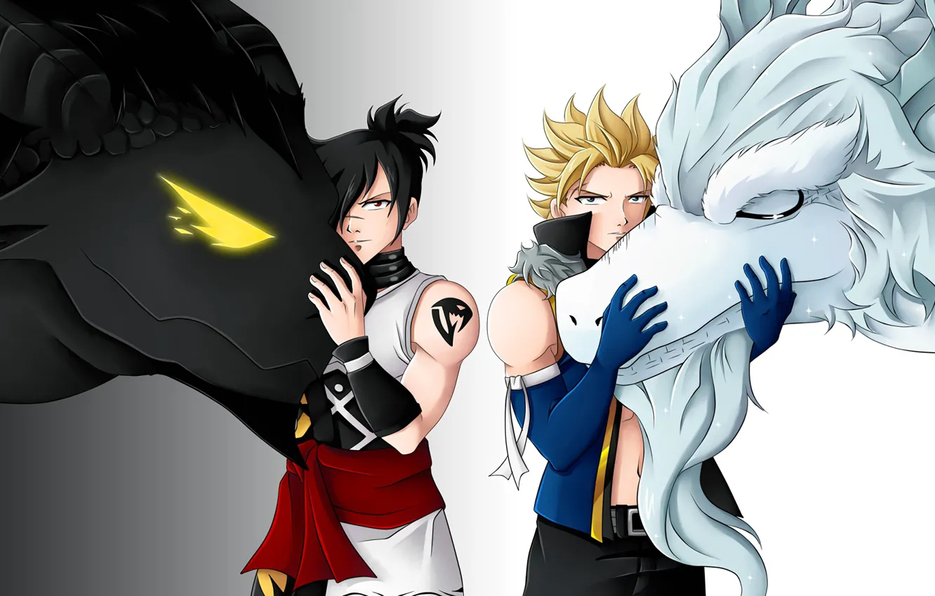 Photo wallpaper animals, anime, art, guys, characters, Fairy Tail, Fairy tail, Rogue Cheney