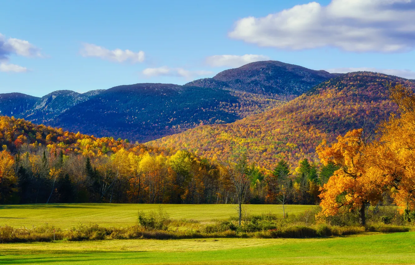 Photo wallpaper field, autumn, forest, trees, mountains, hills, foliage, the colors of autumn