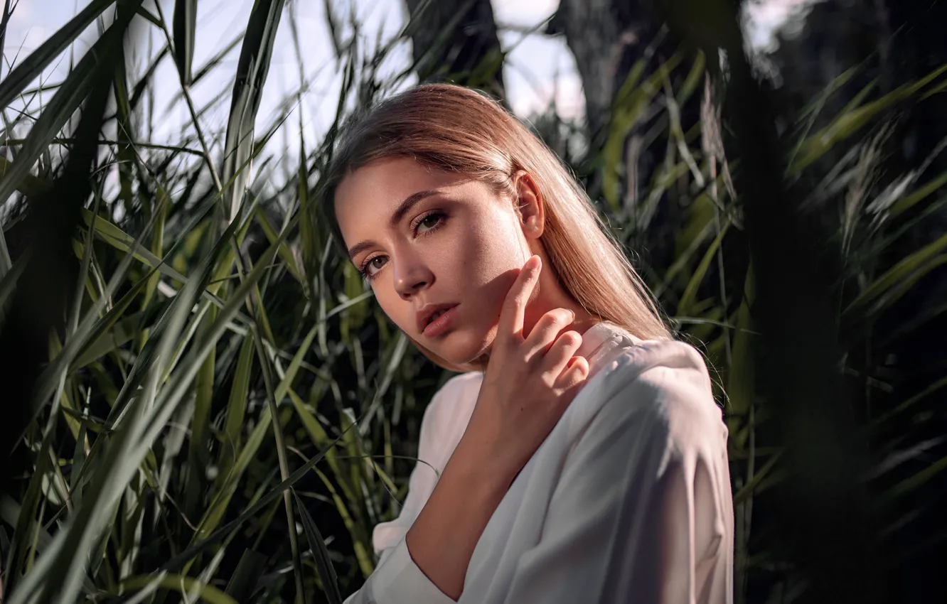 Photo wallpaper grass, look, the sun, model, portrait, makeup, hairstyle, brown hair