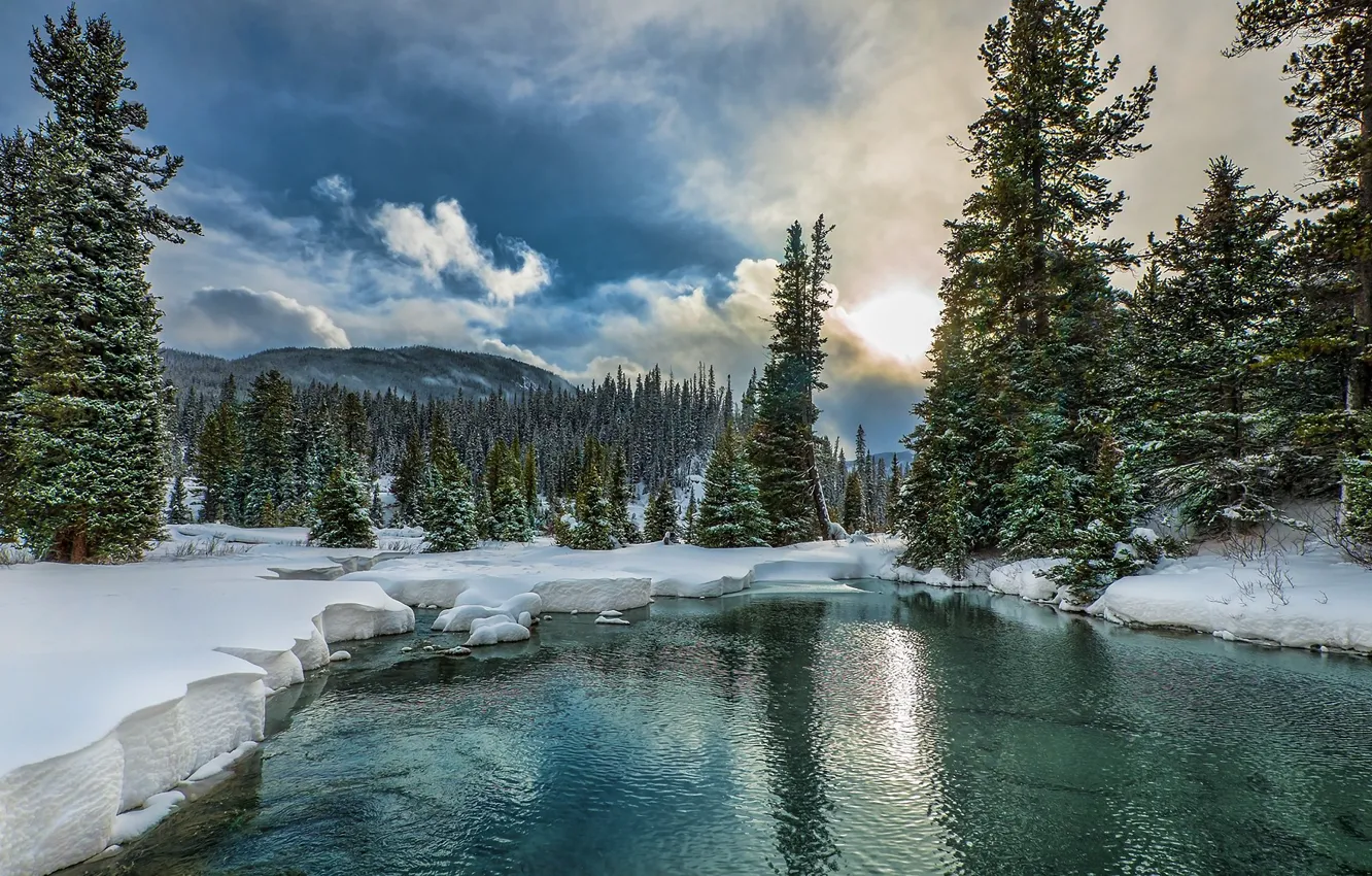 Photo wallpaper winter, forest, the sky, the sun, clouds, snow, trees, mountains