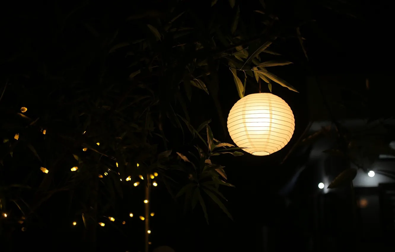 Photo wallpaper Light, Lamp, Lantern