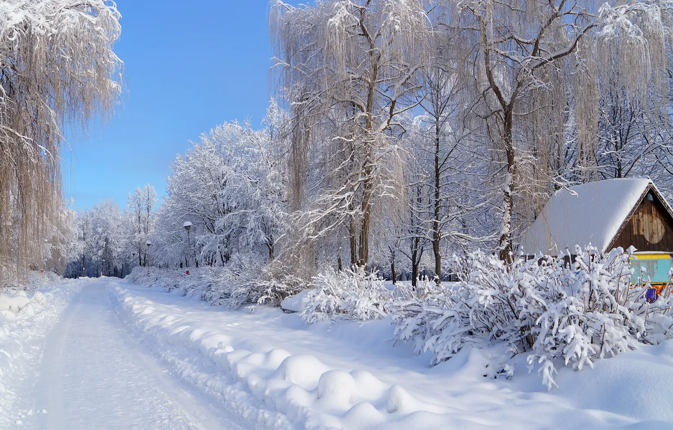 Photo wallpaper winter, frost, road, the sky, snow, trees, house, street, lantern, the snow