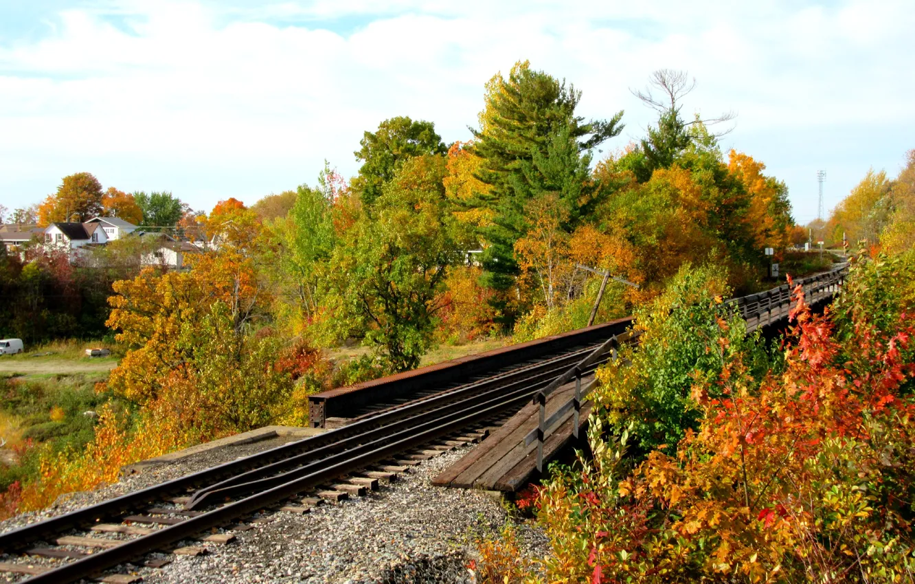 Photo wallpaper autumn, forest, foliage, rails, colors, forest, falling leaves, autumn