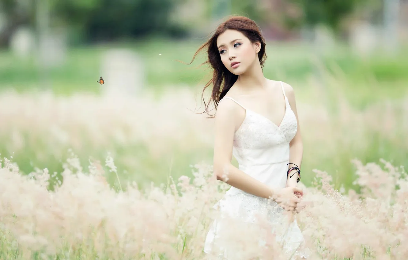 Photo wallpaper girl, butterfly, Asian, Sarah ShuiLian