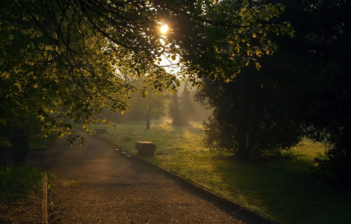 Photo wallpaper light, landscape, sunset, the city, Park, bench