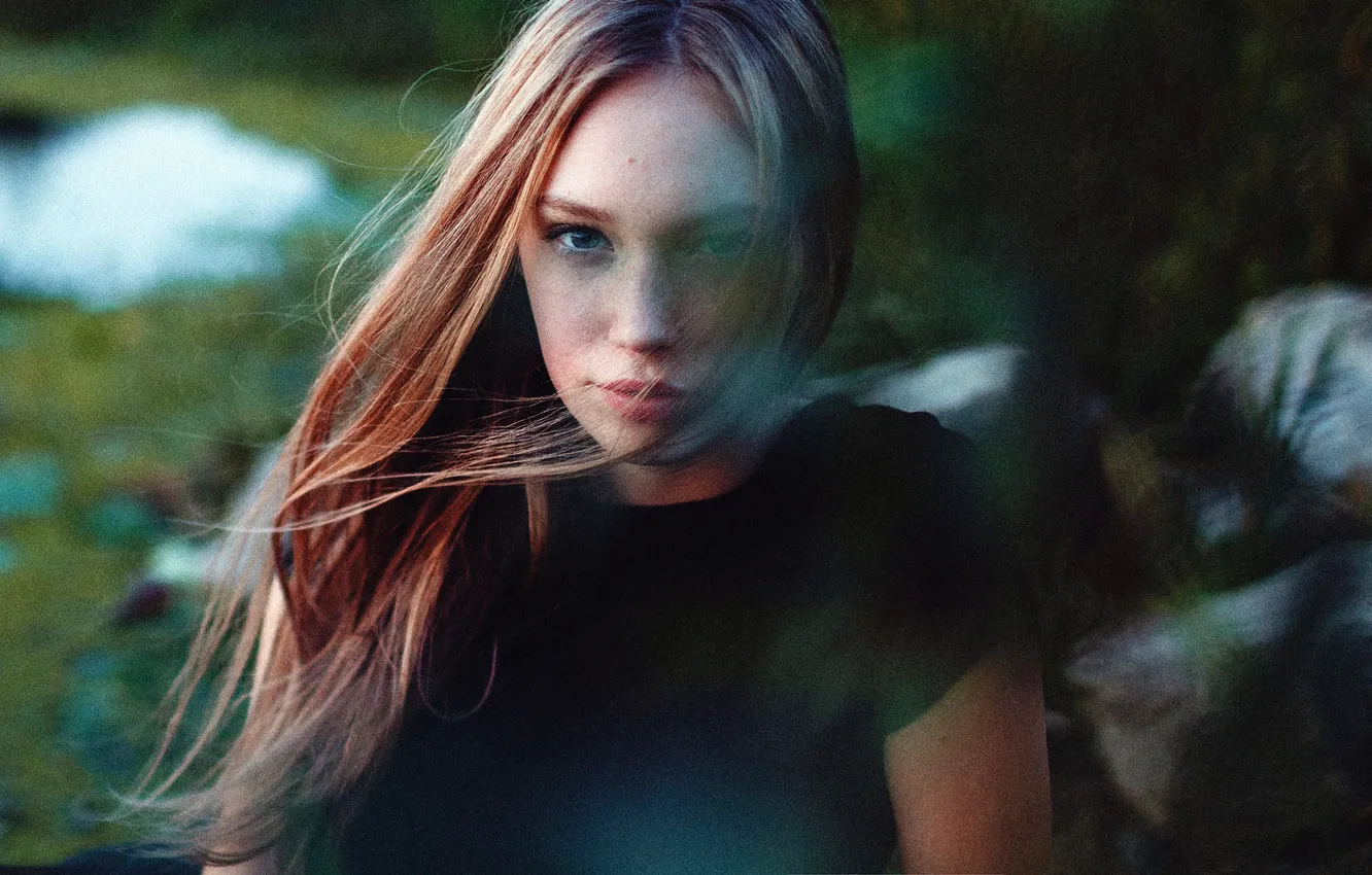 Photo wallpaper look, sponge, the beauty