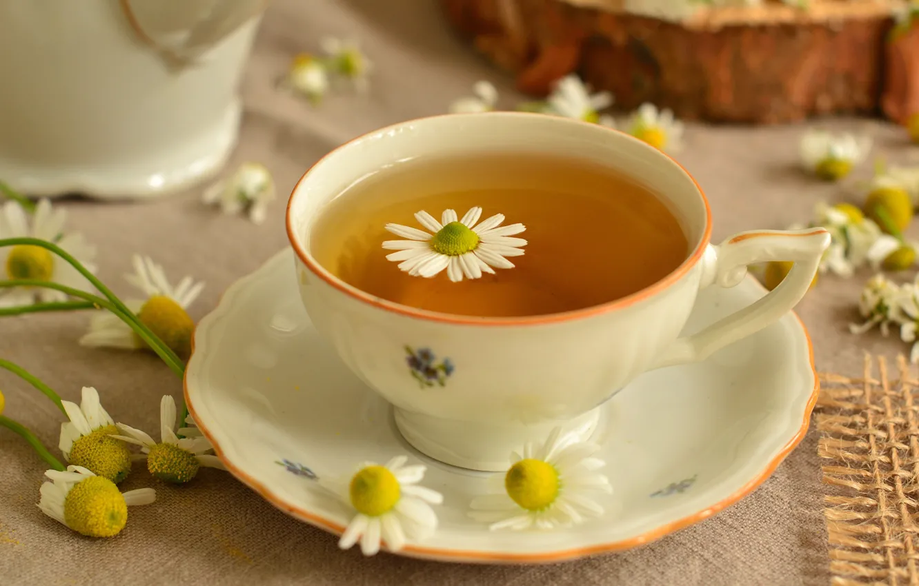 Photo wallpaper tea, chamomile, Cup, Chamomile