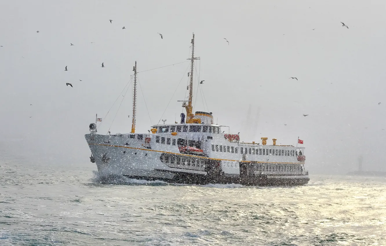 Photo wallpaper winter, nature, nature, Istanbul, Turkey, winter, Istanbul, Turkey