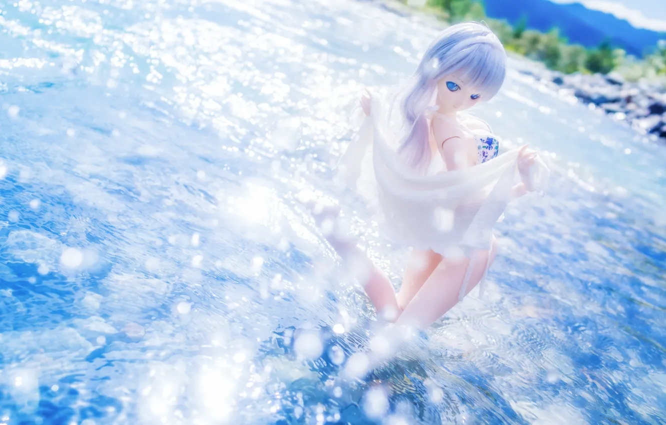 Photo wallpaper water, the sun, toy, doll