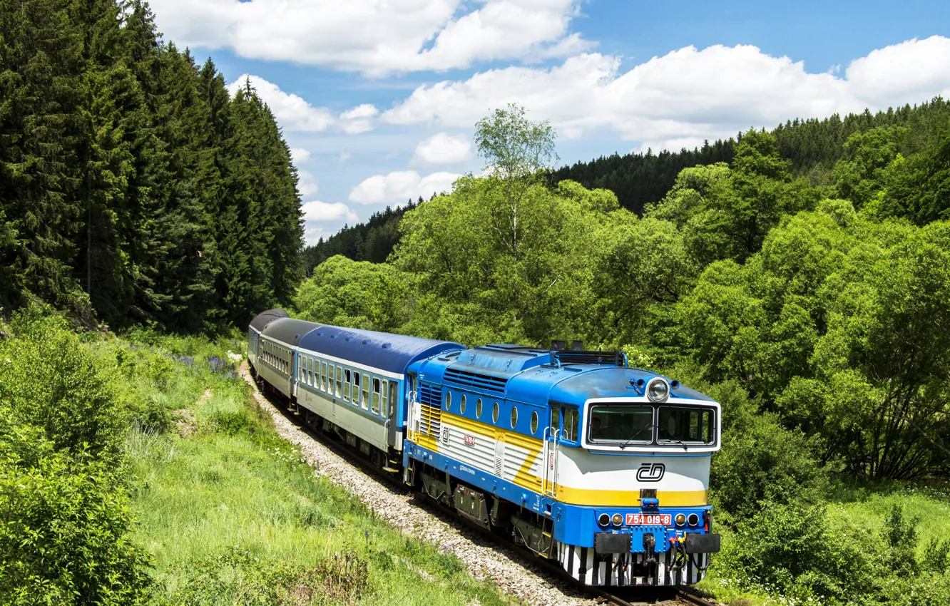 Photo wallpaper forest, the sky, trees, the way, cars, railroad, locomotive, Locomotive