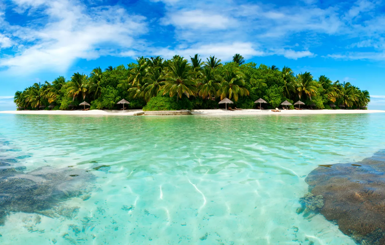 Photo wallpaper beach, trees, tropics, palm trees, stay, island, Sea