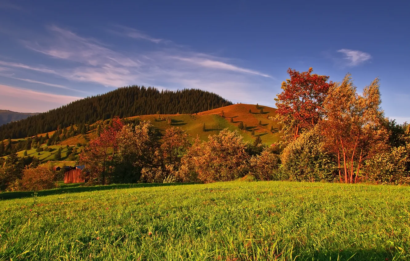 Photo wallpaper field, autumn, the sky, trees, mountains, nature, colors, sky