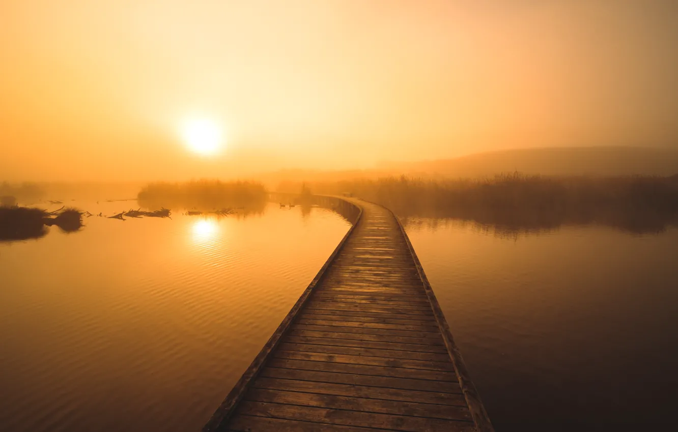 Photo wallpaper bridge, fog, lake