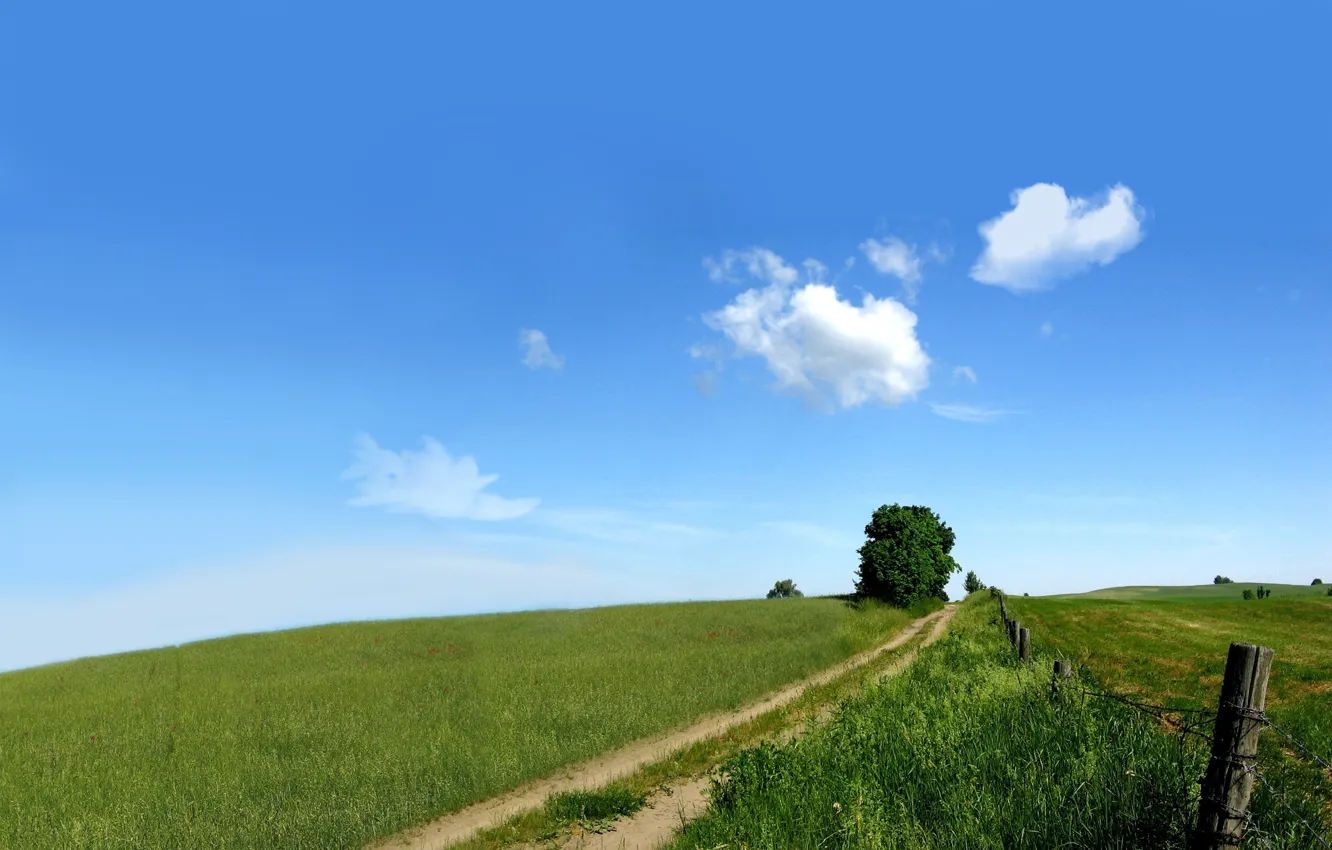 Photo wallpaper road, greens, field, the sky, nature