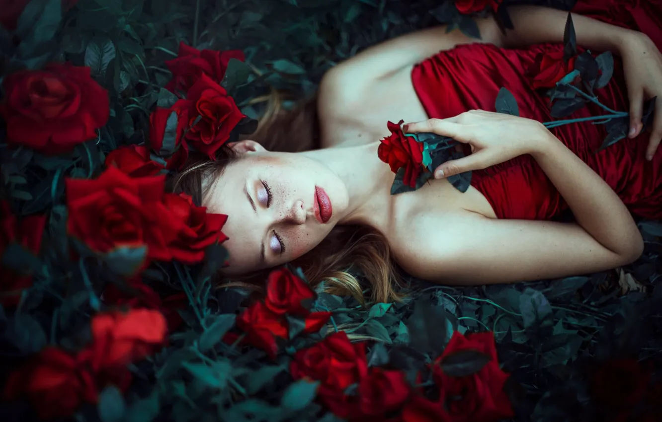 Photo wallpaper flowers, mood, sleep, roses, makeup, freckles, Ronny Garcia, sleeping girl