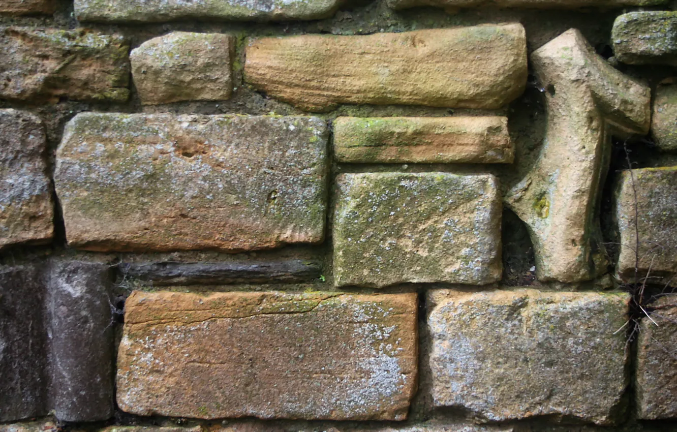 Photo wallpaper background, wall, texture