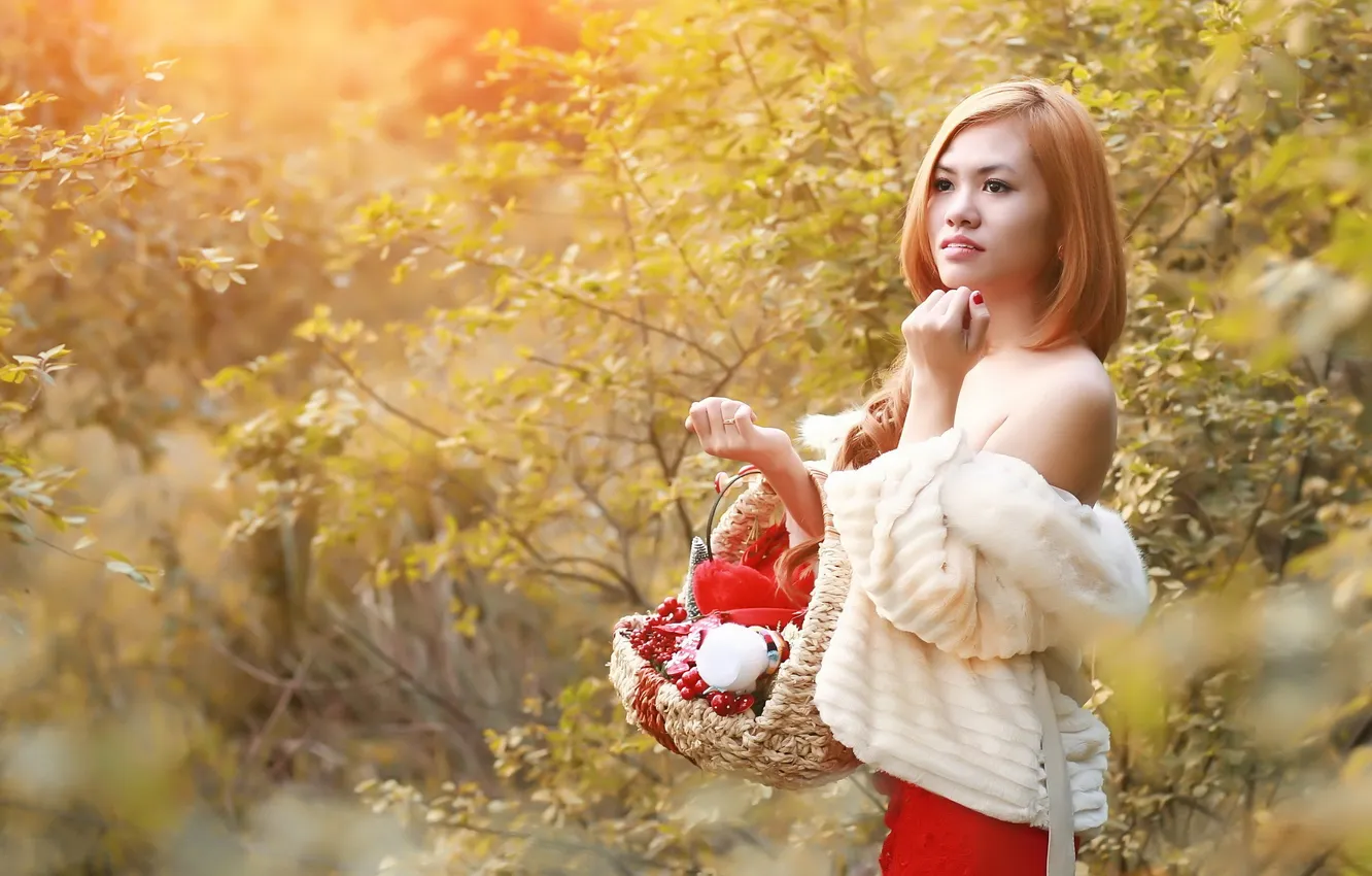 Photo wallpaper girl, nature, background, basket