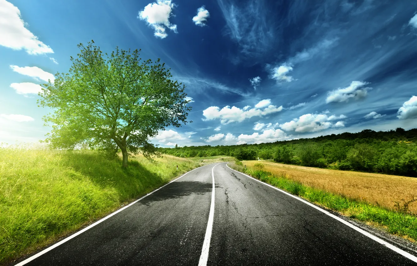 Photo wallpaper road, field, the sky, grass, asphalt, trees, flowers