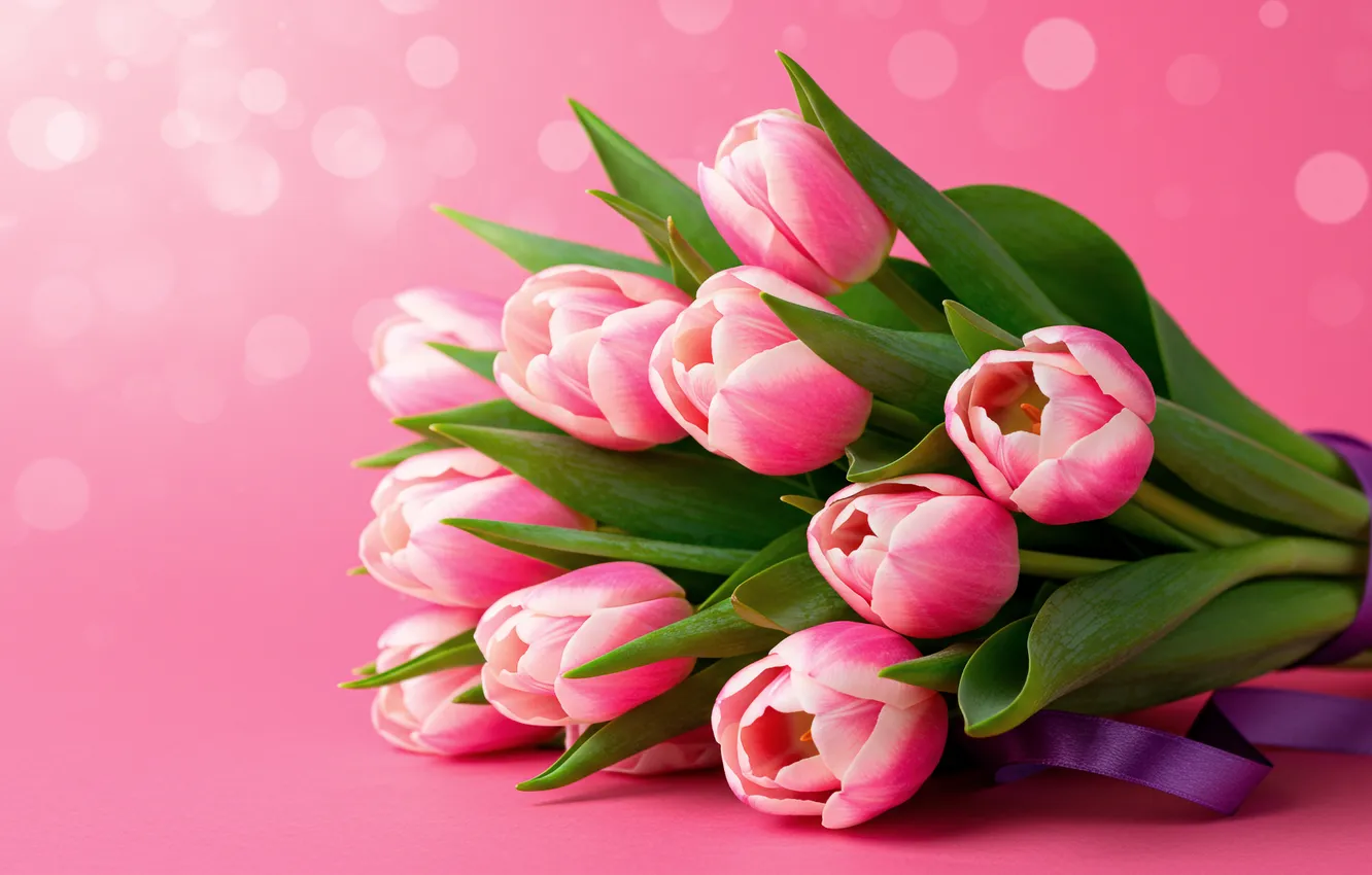 Photo wallpaper bouquet, tulips, wallpaper, March 8, tulips, bokeh, spring, bouquet