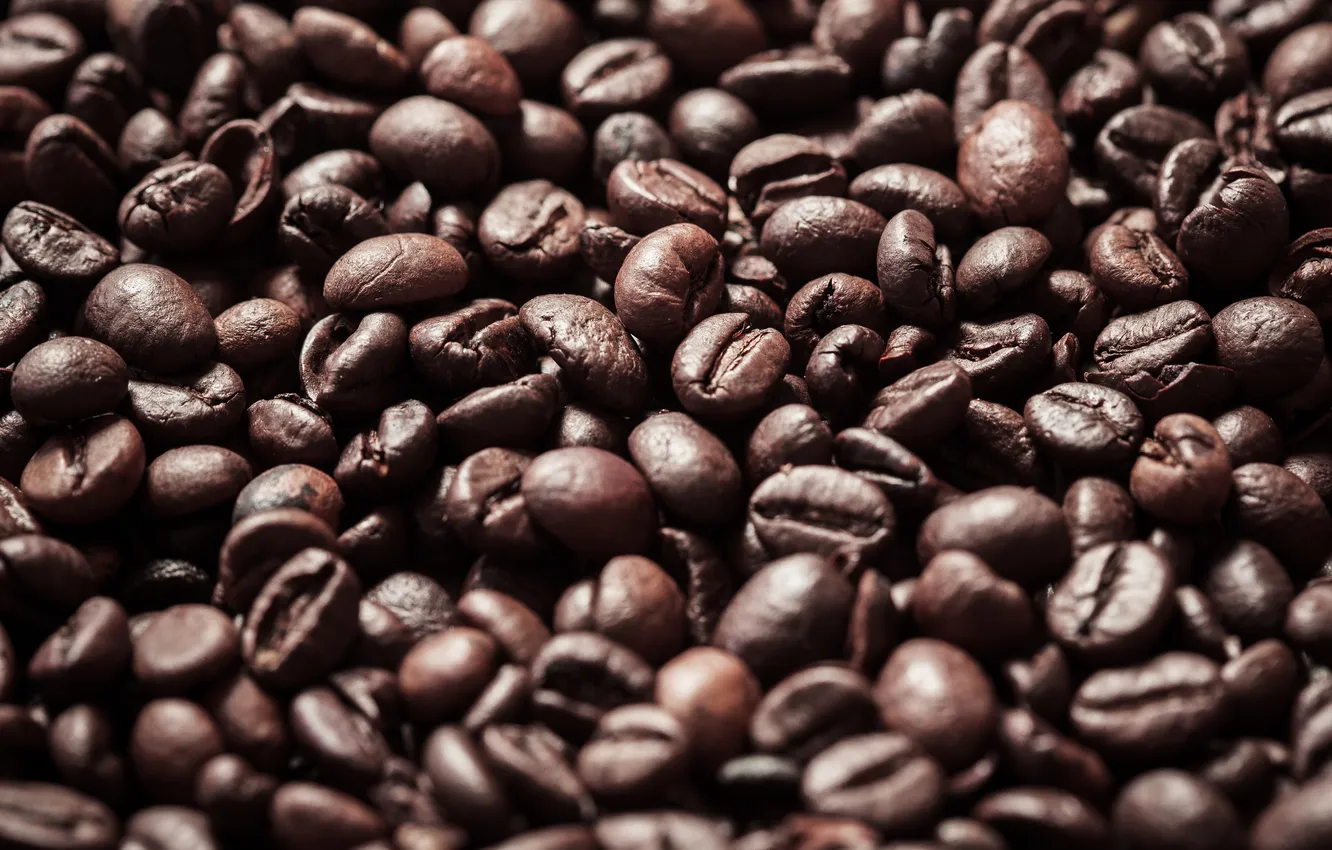 Photo wallpaper beans, coffee, roasted